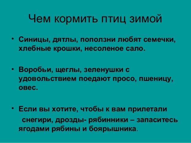Картинки поддержка птиц зимой Картинки поддержка птиц зимой